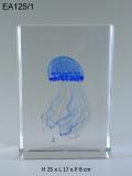 Синяя медуза - аквариум